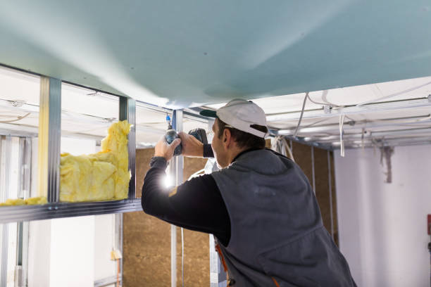 Best Insulation Installation Services in Ulysses, KS
